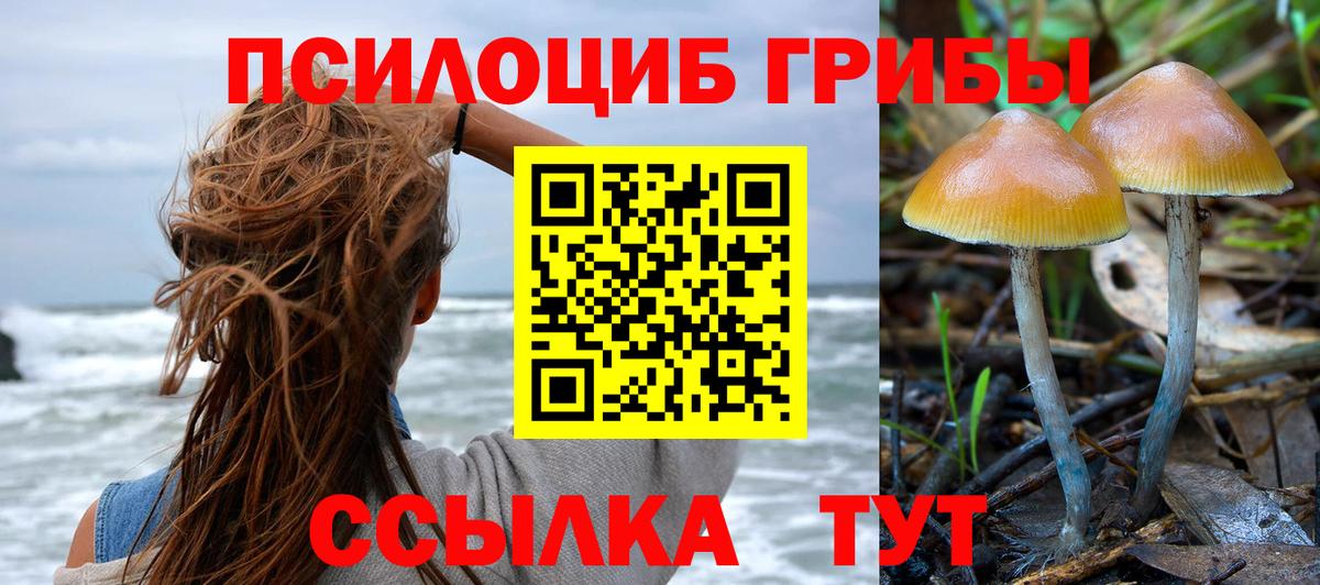 Псилоцибиновые грибы мухоморы Дзержинск